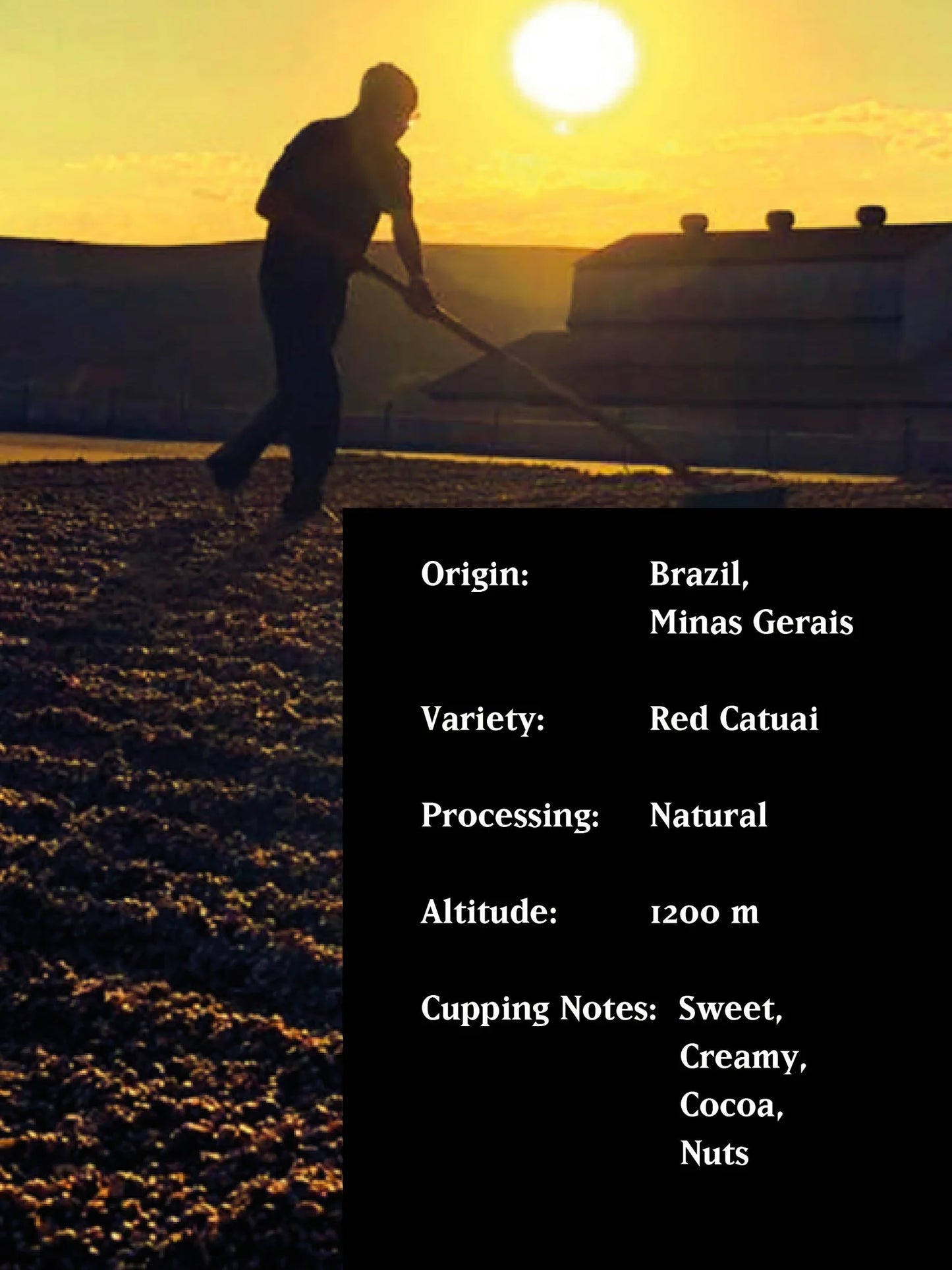 MVSM SURE SHOT BRAZIL NATURAL 250G