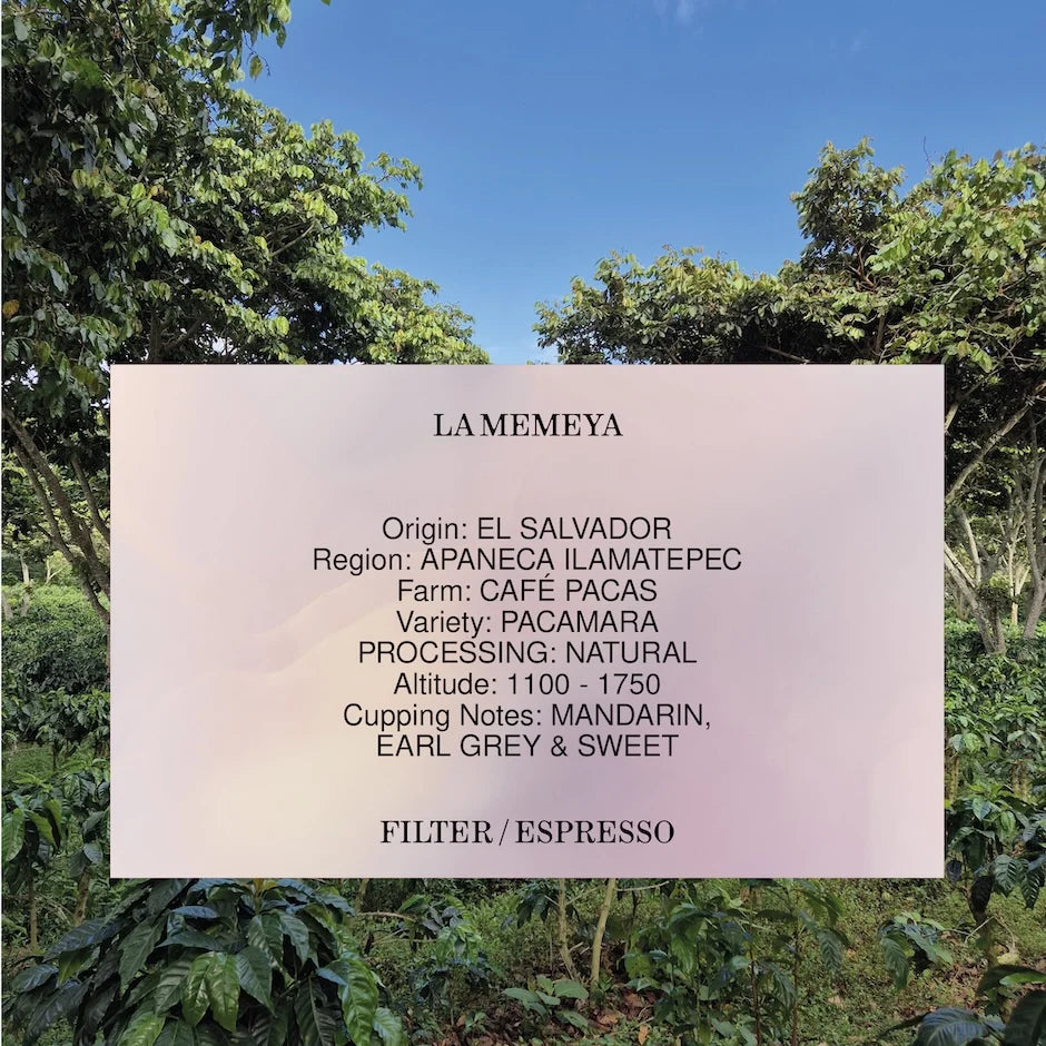 LA MEMEYA, EL SALVADOR, NATURAL *TANTALUM EDITION* 250g