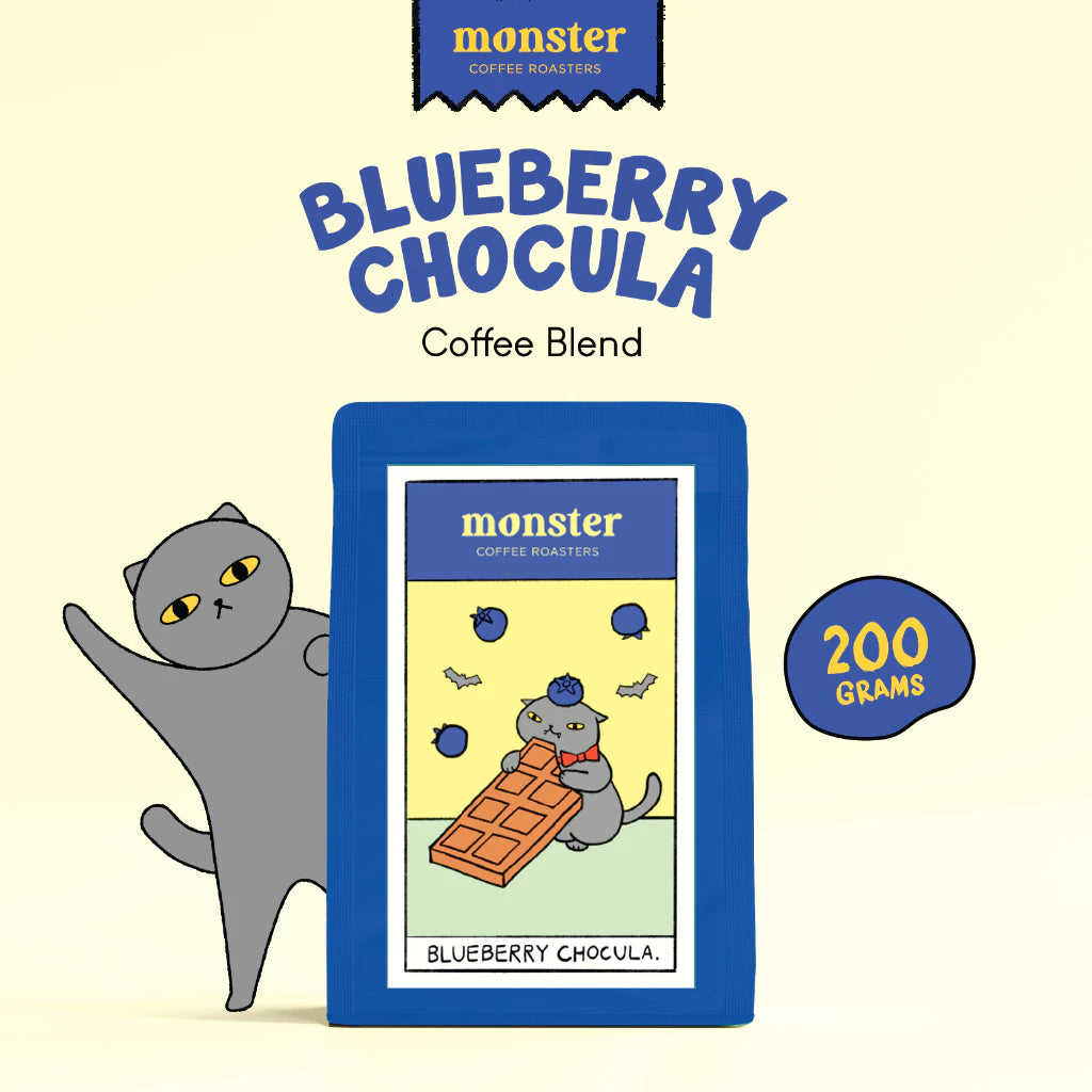 BLUEBERRY CHOCULA 200g