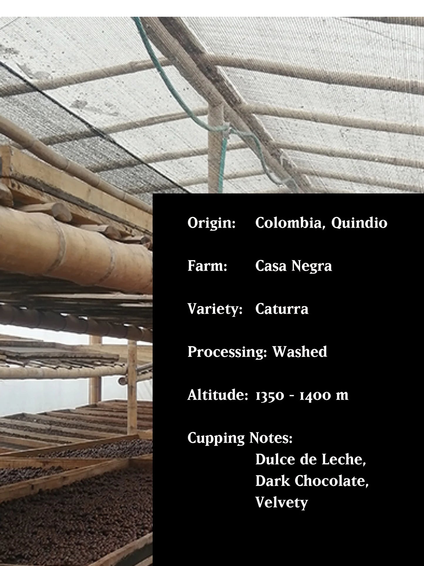 PANINARO 250g