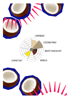 Afrutado Coconut 200g